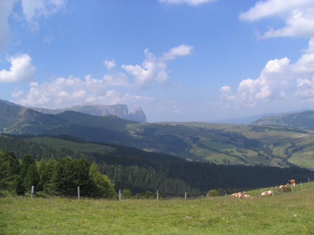 Panorama verso l'Alpe di Siusi